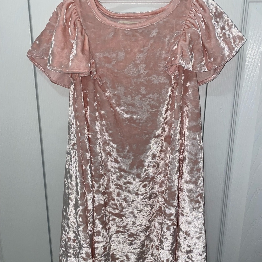 Tucker Blush Velvet Dress with Flutter Sleeves